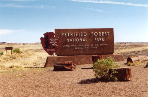 202-F12-35B02-PetrifiedForest-Eingang