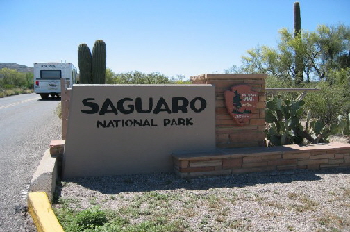 IMG_1600-Saguaro-N-P-Ost